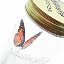 mooivoorkids_my-butterfly_hippe_shops