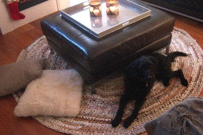 ootjersart_hippeshops_gehaakt