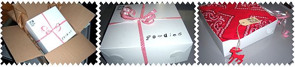 langzalzeleven_feestpakketje