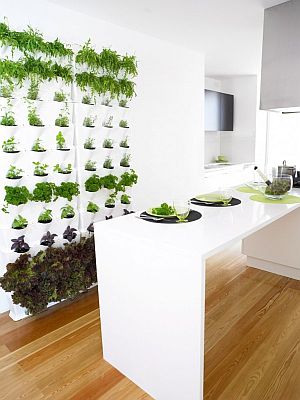 Minigarden | bouw een groene muur voor binnen en buiten