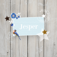 Lief Leuk Eigen Geboortekaartje voor een jongen