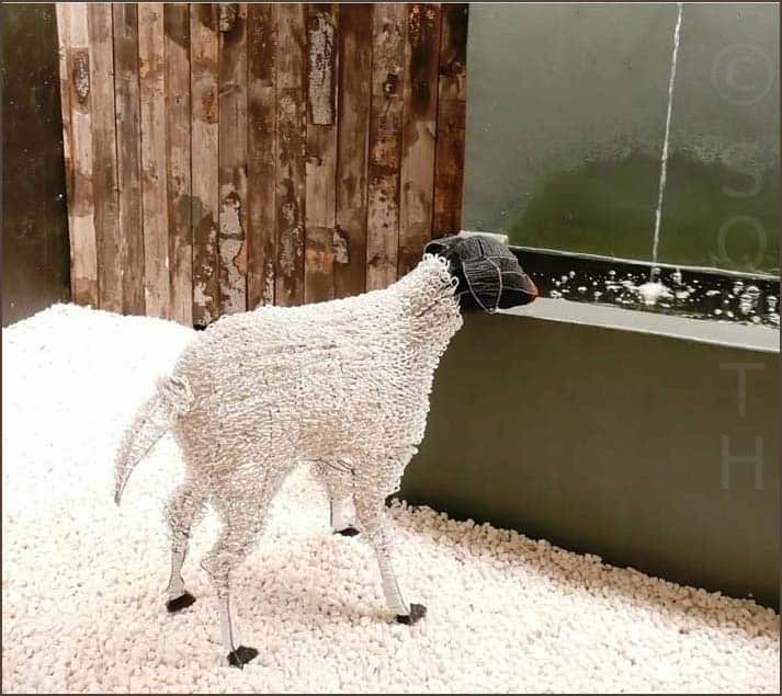 Hippe kunst met een lach