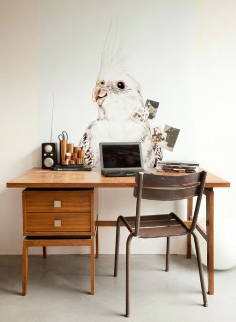 Nouss concept store online ♥ shop de allerhipste must haves!