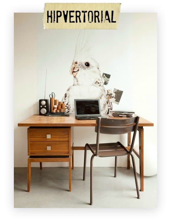 noussconceptstore-hipvertorial