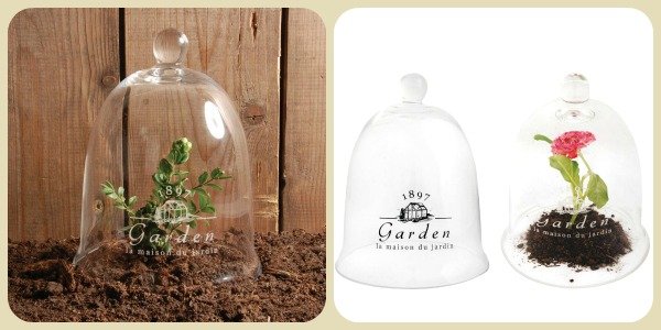 Kweekklok van glas – Esschert Design Garden