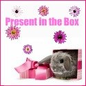 present_in_the_box_hippeshops