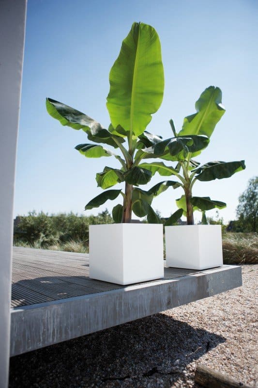 Verrijdbare plantenbak: hip, handig en stijlvol