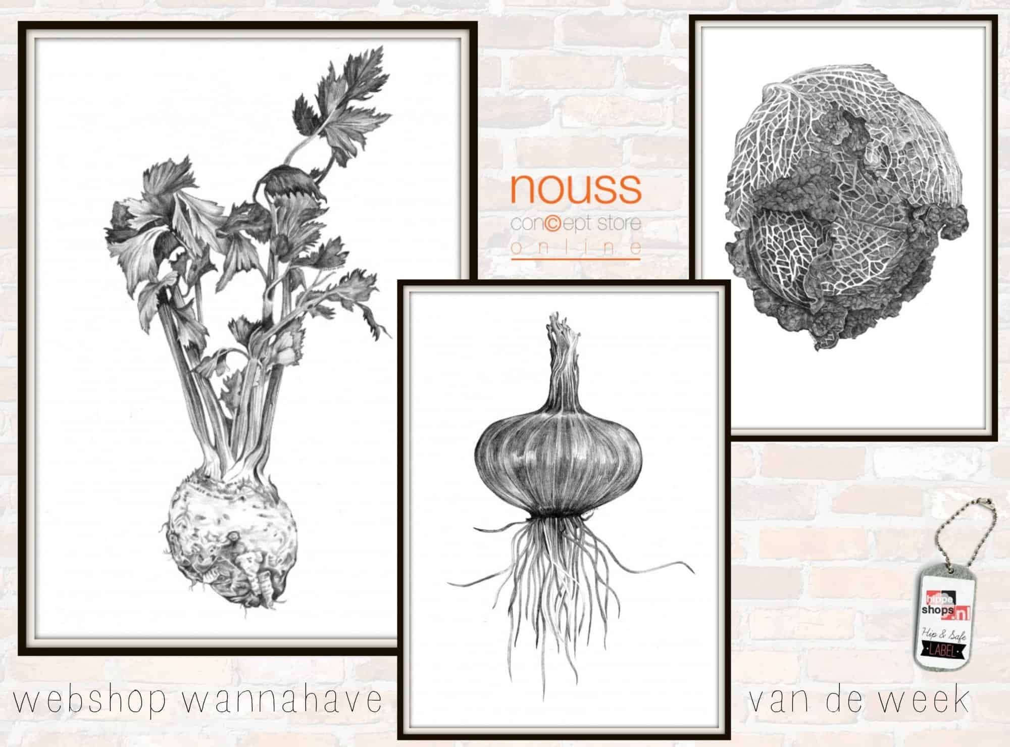 Illustraties van knolselderij, kool en ui - webshop wannahave van de week noussconceptstore-muurdecoratie-musthave