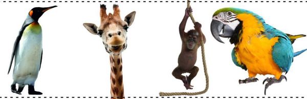 BenIkHip muurstickers dieren Studio bluebird muurstickers hippeshops