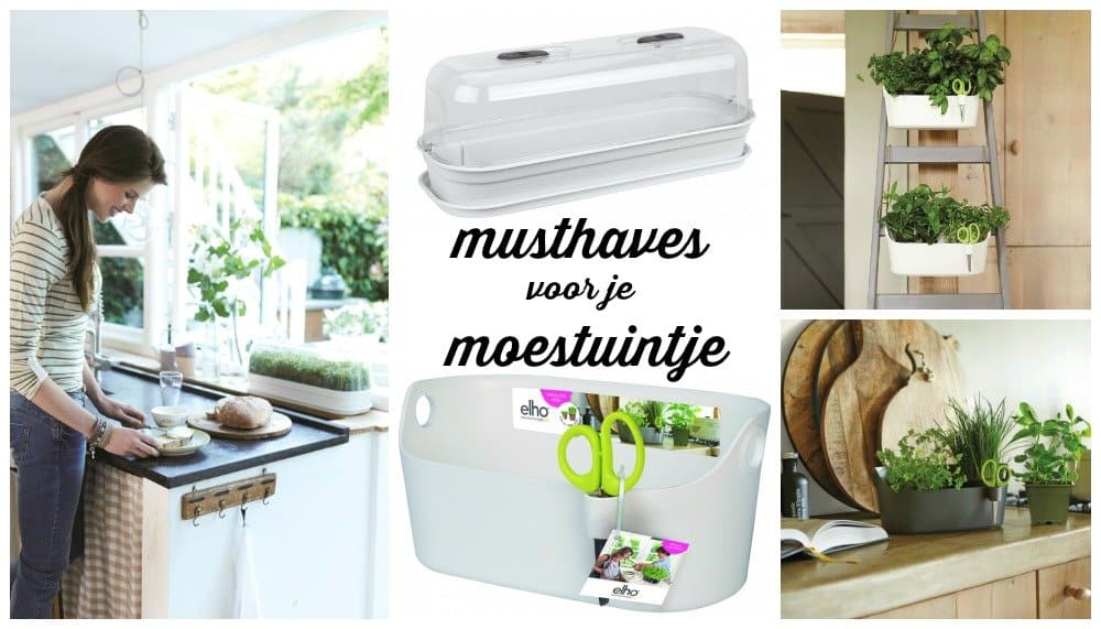 alles voor je moestuintje vind je bij Plantenbak.com musthaves-moestuintje