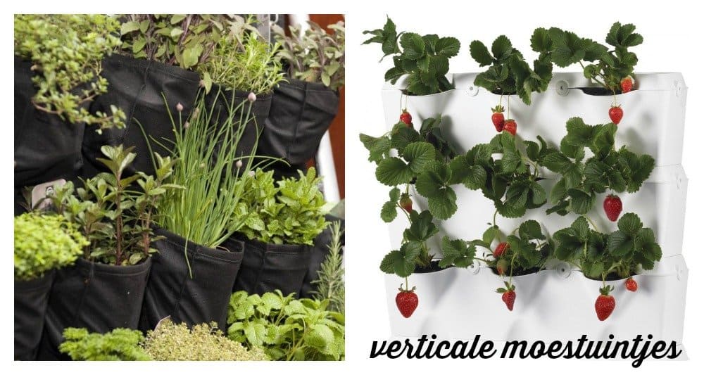 Must Haves voor je Moestuintje