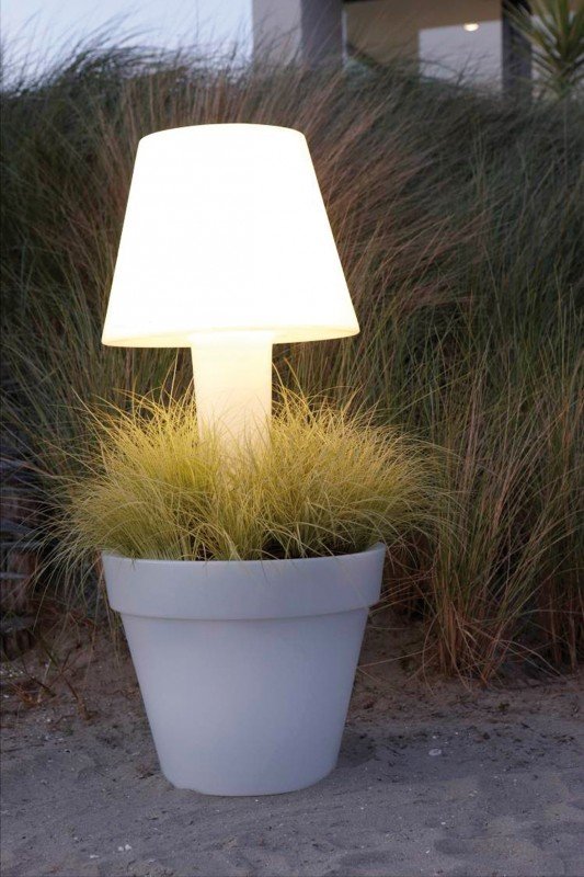 lamp