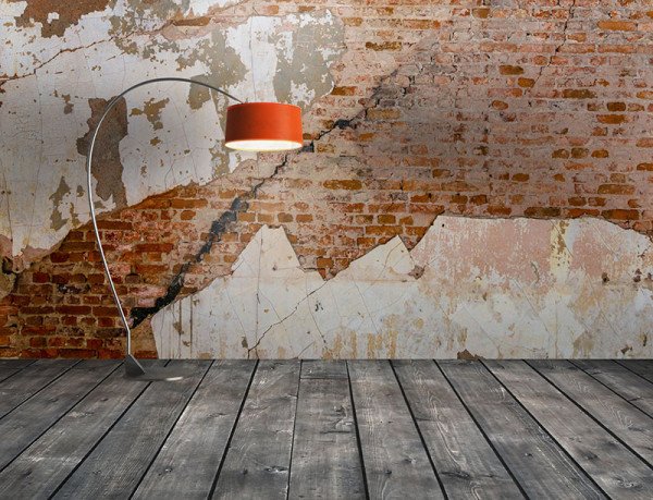 decodog-behang-hippeshops