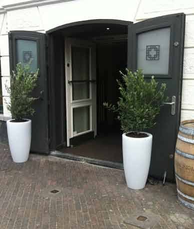 olijfboom_in_pot_met_licht_chicplants olijfboom_in_pot_met_licht_chicplants-hippeshops
