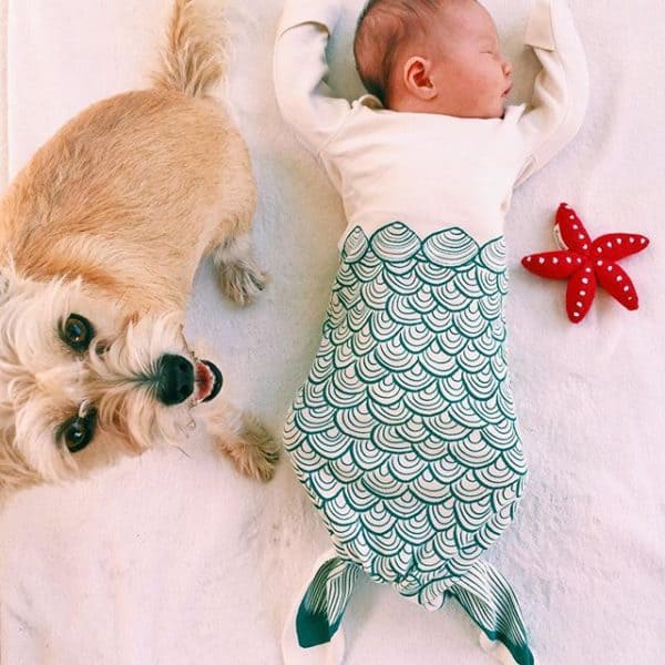 mermaid