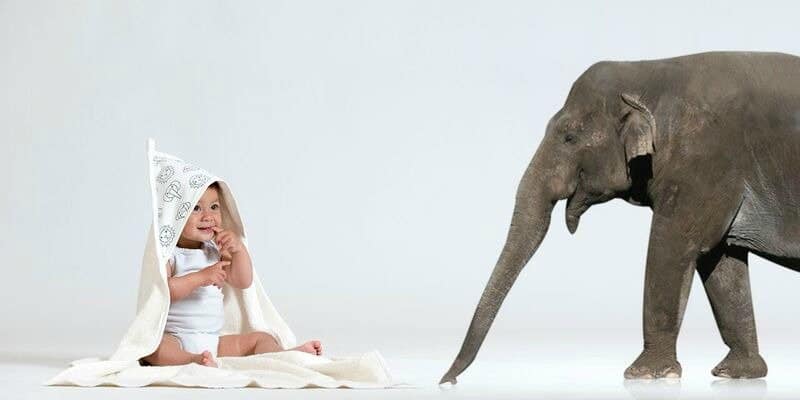 De gloednieuwe 4NaturalKids Safari collectie is beestachtig leuk!