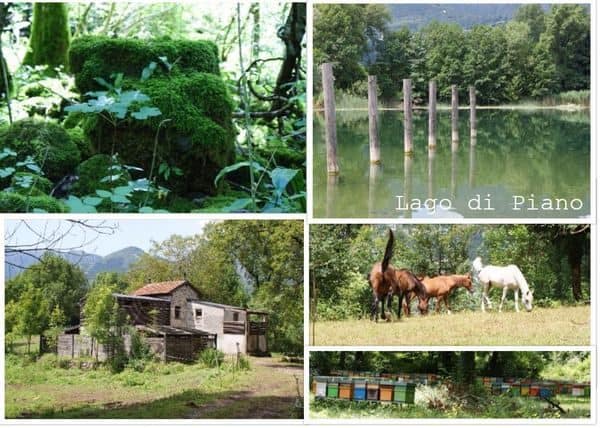 Lago di Piano