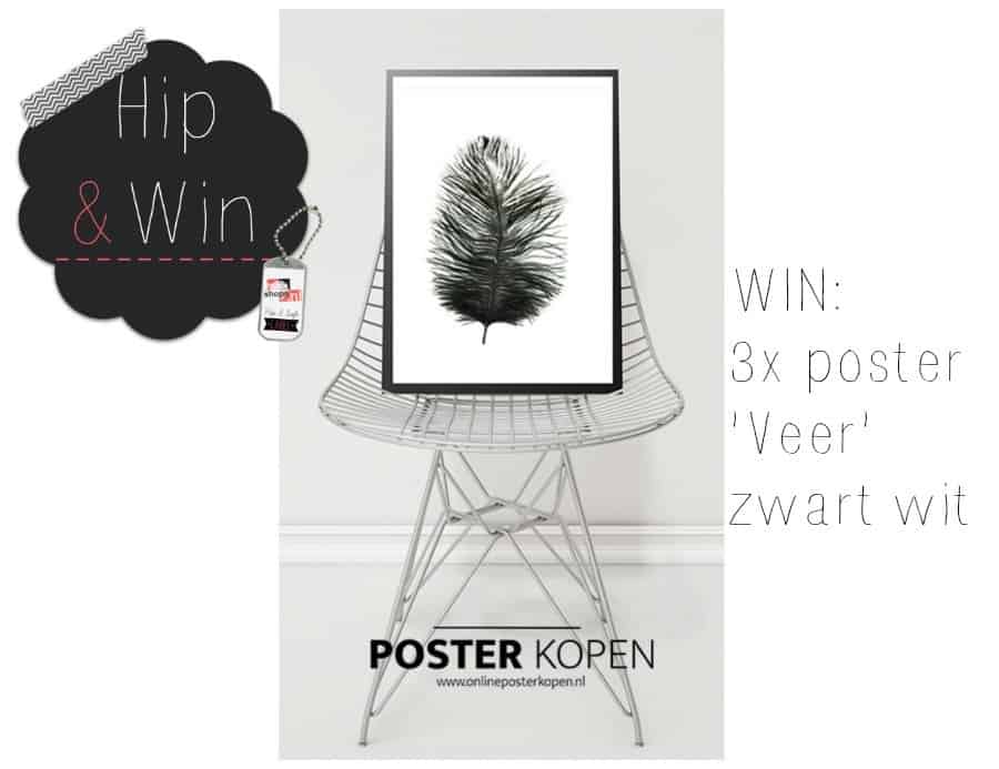 WIN: 3x poster Veer zwart wit van Online Poster Kopen