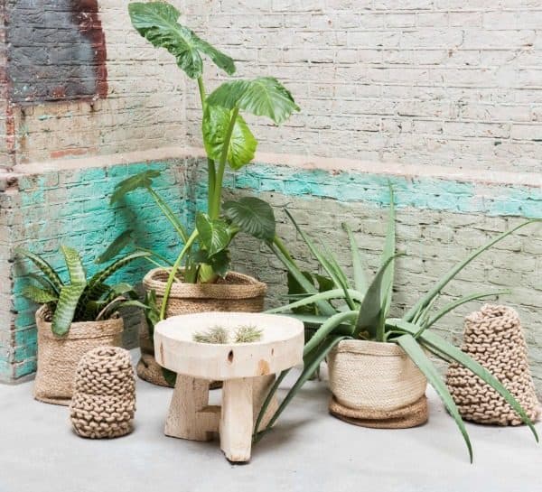 Urban Jungle bij lifestylejunkie.nl