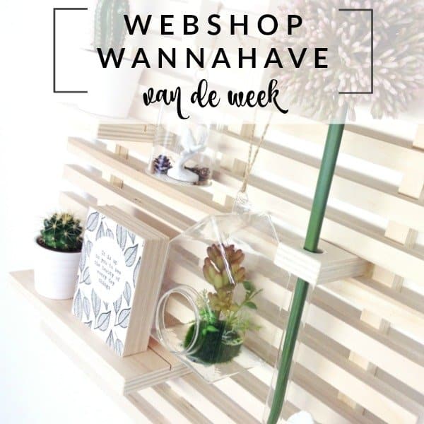 Wallframe van hout – Webshop Wannahave van de Week