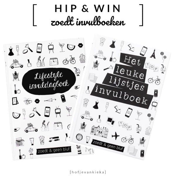 Het leuke lijstjes invulboek & Lifestyle invuldagboek van Zoedt