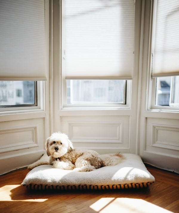 lichtdoorlatend rolgordijn 