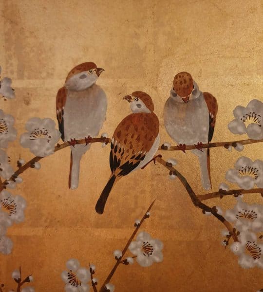 asian birds