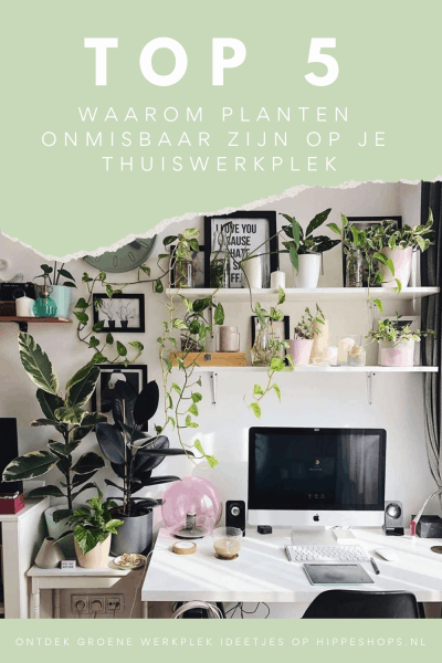 kamerplanten thuiswerken