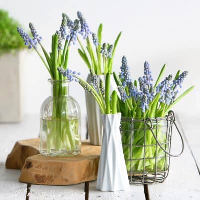 Happy BloeMonday, opfleuren met een blauw boeket