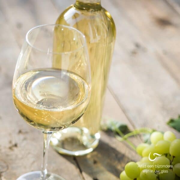 droge witte wijn chardonnay sauvignon blanc