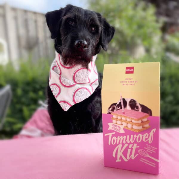 tom woef kit hema tompouce hond