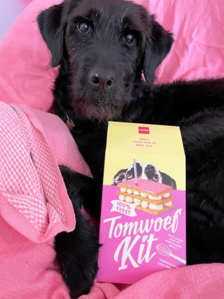 hema tompouce voor de hond tomwoef kit