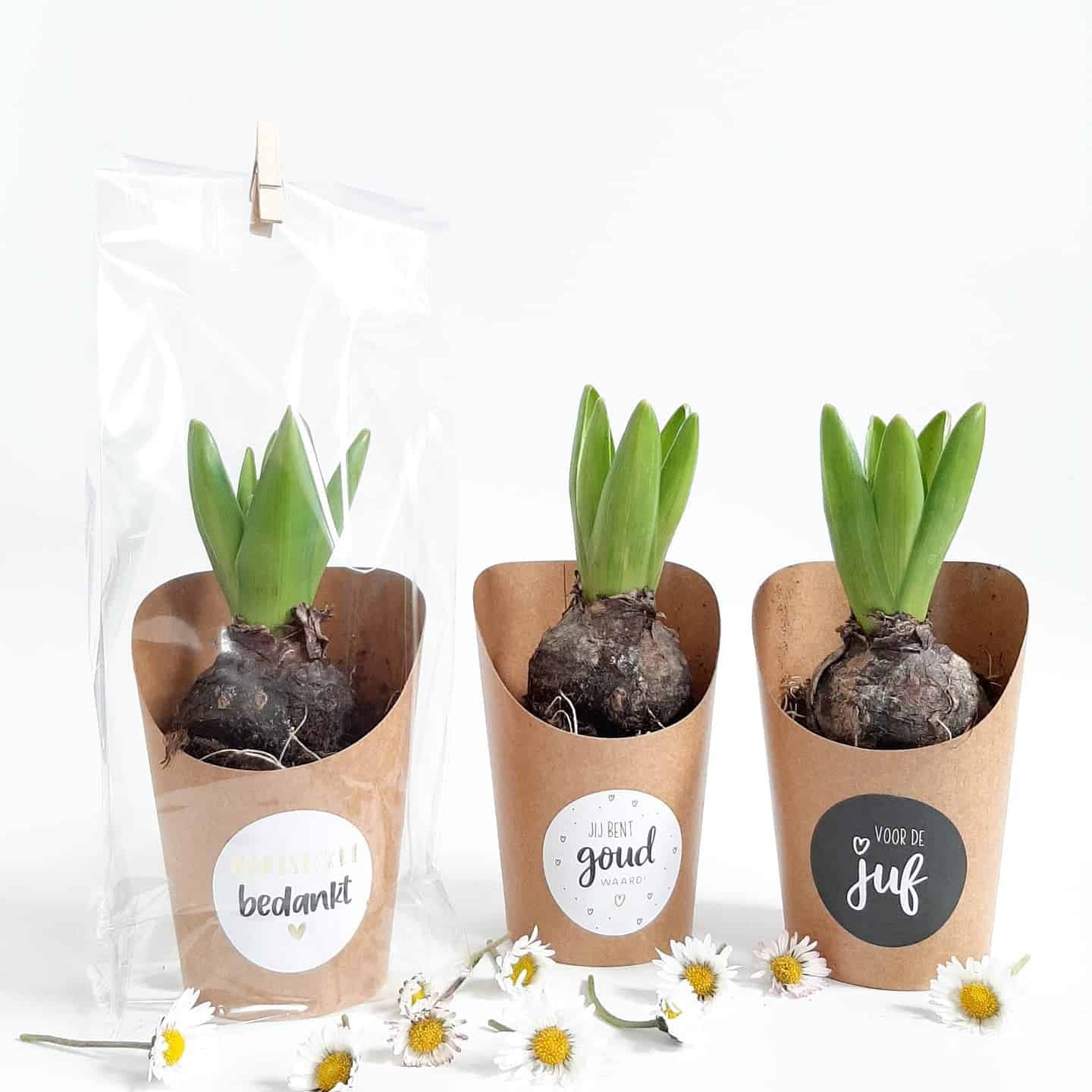 juf en meester cadeautjes