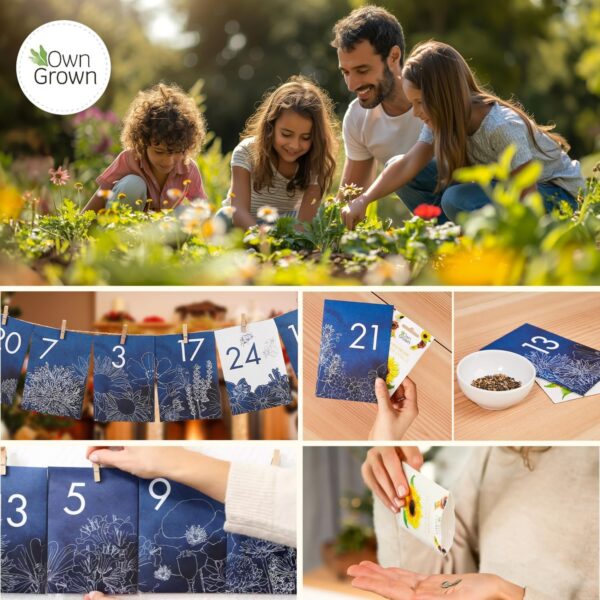easy to grow adventskalender de leukste adventskalenders