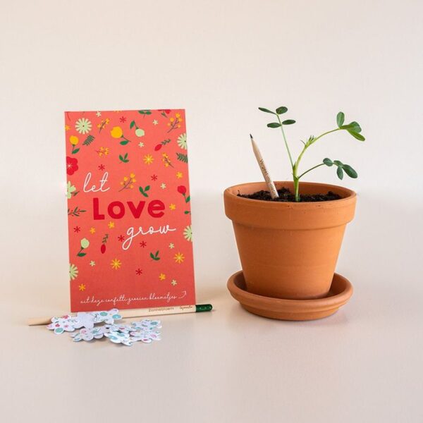 let love grow valentijn brievenbus cadeau