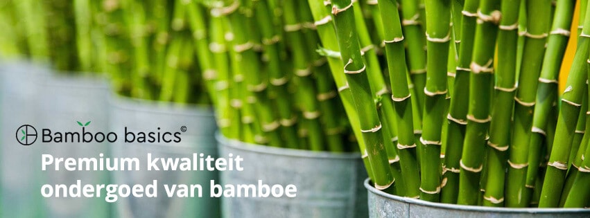 bamboobasics.com
