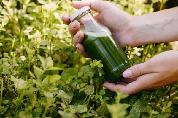 cilly juices popeye groentesapje slowjuice