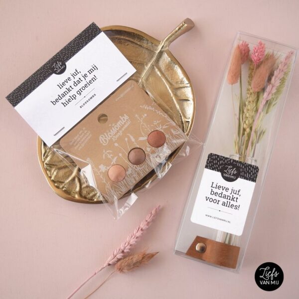 Afscheidscadeau Juf & Meester zaadbommetjes