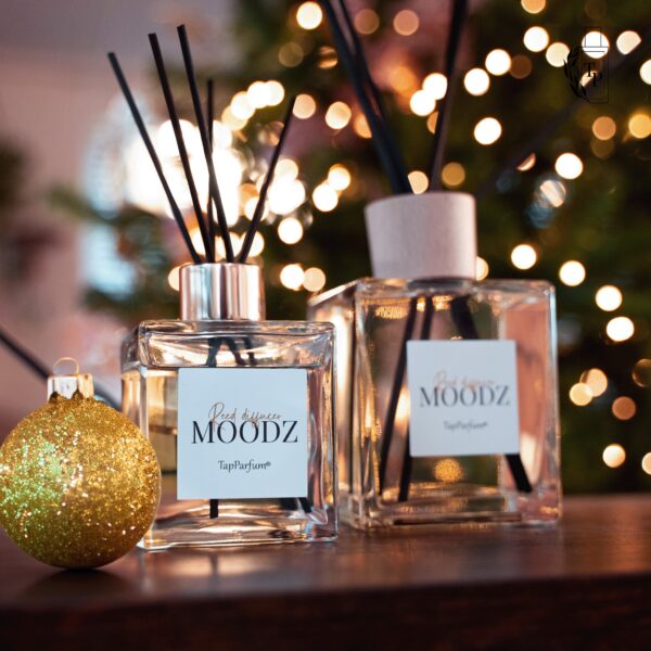 de leukste cadeaus voor onder de boom