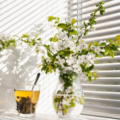 Licht & stijl: raamdecoratie die jouw interieur laat stralen